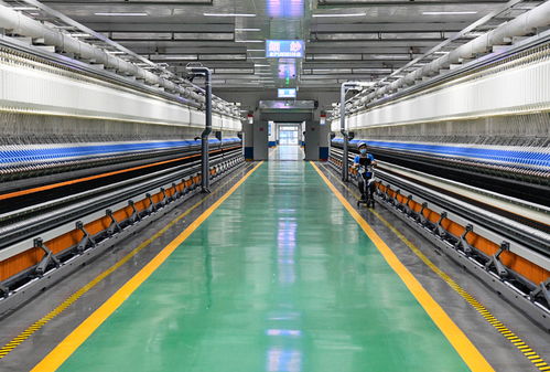 儒商新潮涌齊魯 從濱州視角看民營經濟與電子商務服務新浪潮